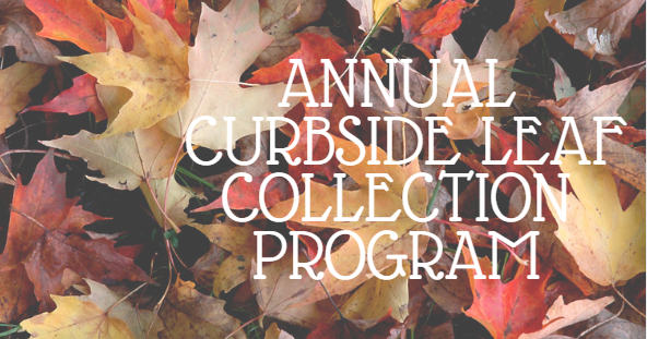  Image of leaves containing the words curbside leaf collection